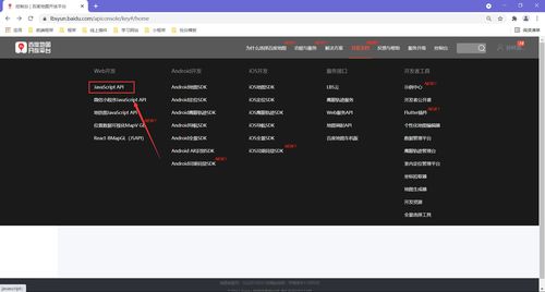 地圖API在Web服務(wù)器及軟件服務(wù)中的應(yīng)用 JavaScript實(shí)用案例詳解